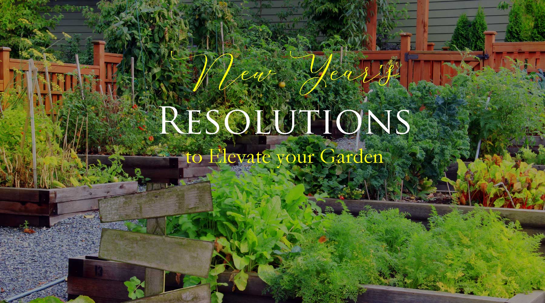 New Year's Resolutions to Elevate Your Garden Game: