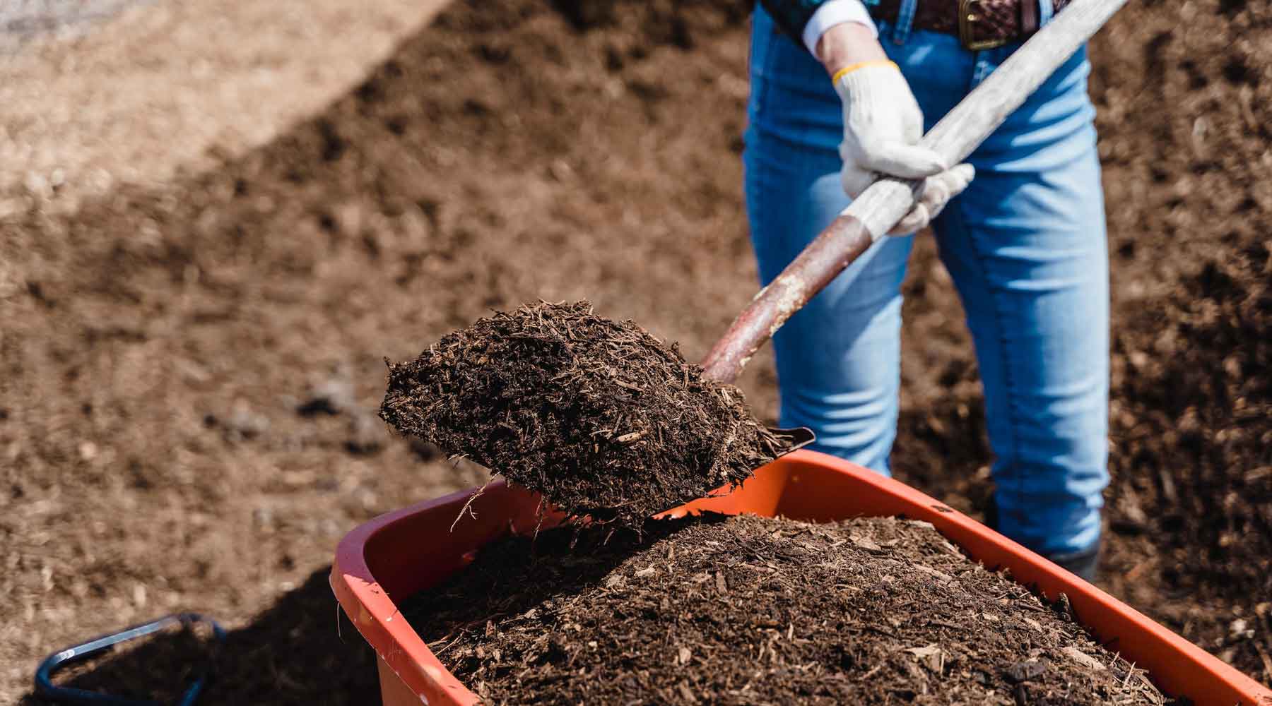 http://yardbutler.com/cdn/shop/articles/compost-fertilizer.jpg?v=1696353002