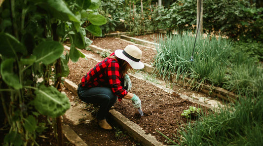 must have tools for summer gardening