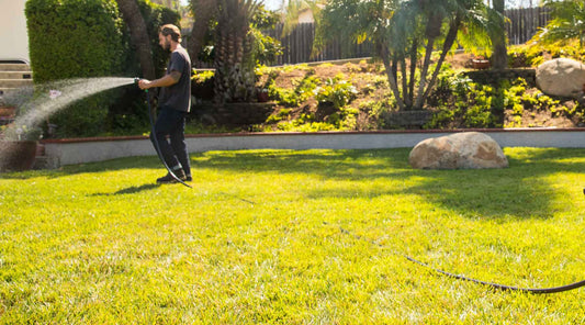 Lawn Love: Aerating Grass and the Top Tools for the Job!