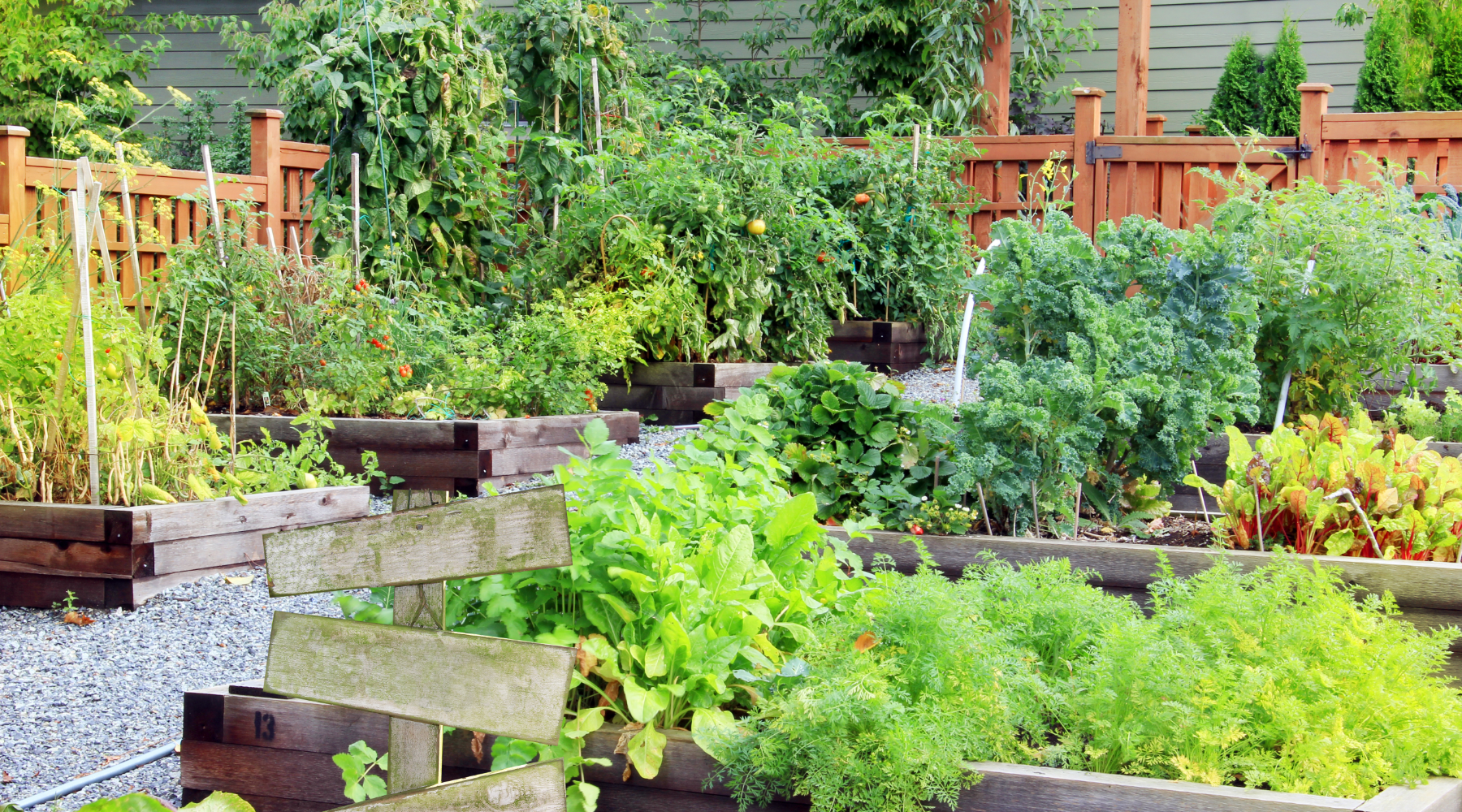 8 Benefits of Community Gardens