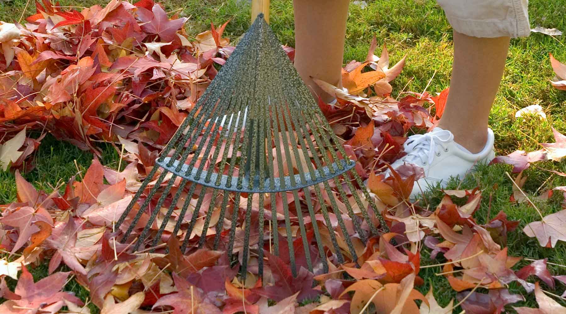 Lawn Cleanup – Complete Guide to Rakes & Mulching – Yard Butler