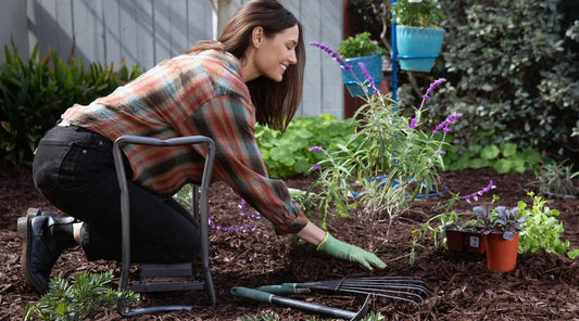 Ultimate Holiday Gift Guide for Gardeners