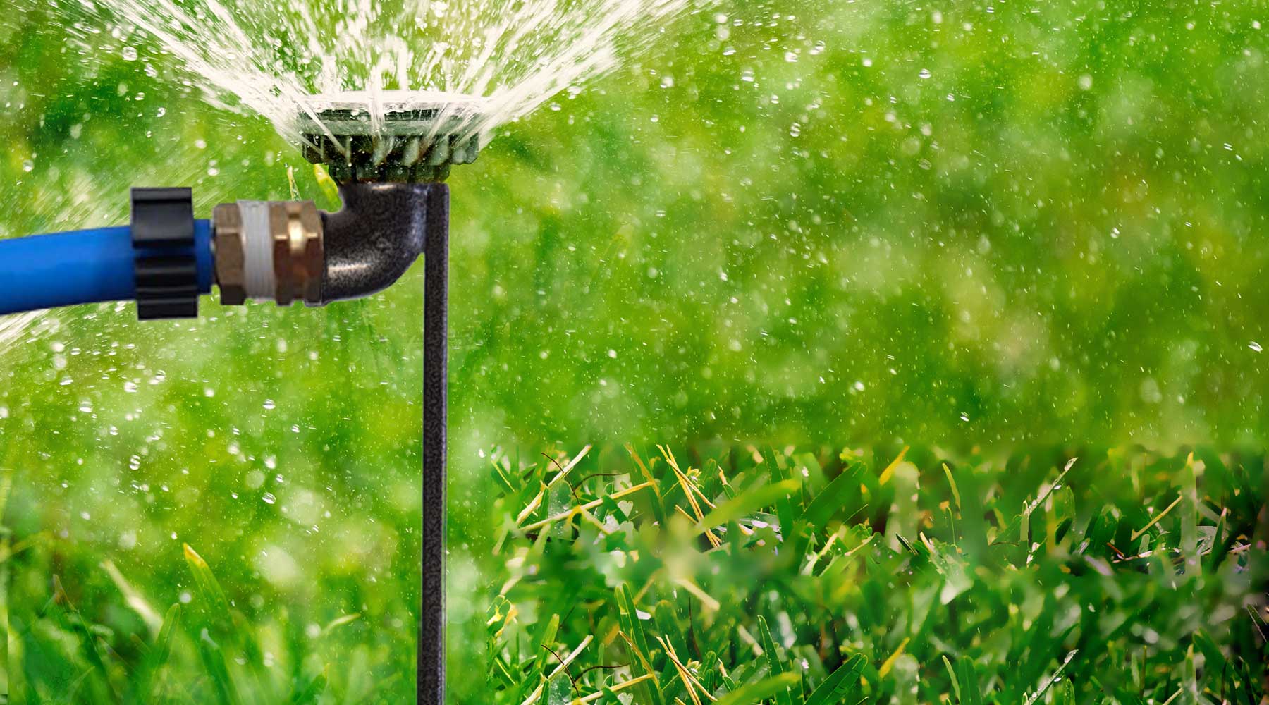 Garden hose sprinkler for watering lawn