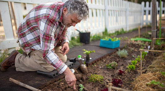 keep weeds out of vegetable garden