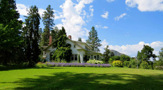 late summer lawncare tips