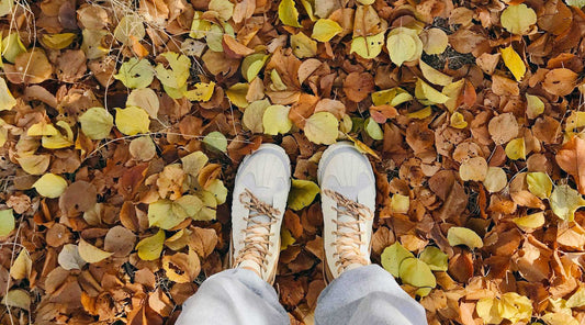 fall leaf management collect and compost
