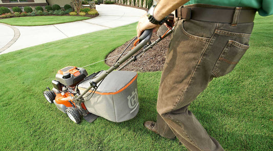 mow lawn in summer
