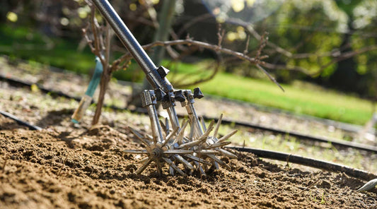 prepare garden soil for vegetables