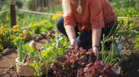 September garden checklist