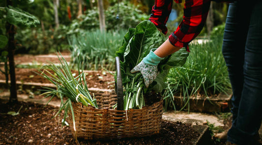 spring vegetable garden harvest