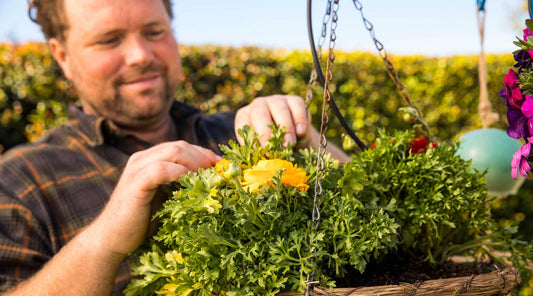 Vertical Gardening for Small Spaces