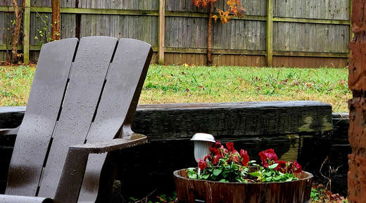 Gardening Checklist for Winter