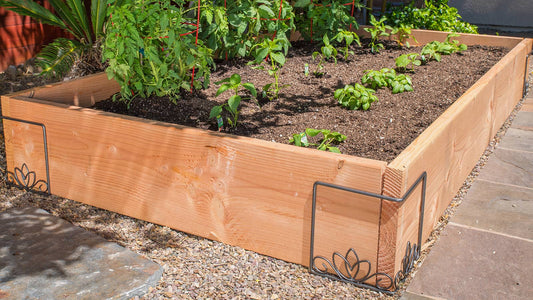 Best Methods for Raised Bed Gardening