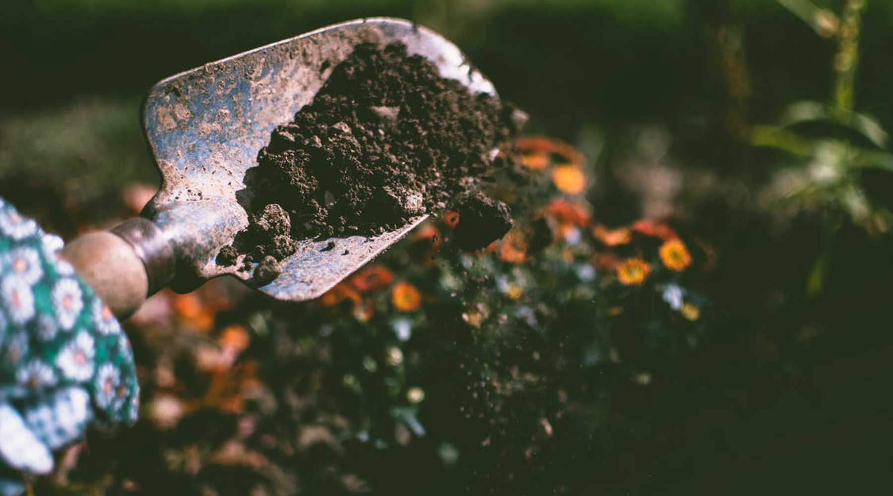 How To Compost In Your Garden