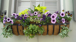 Container Gardening Magic: 8 Ideas for a Green Oasis