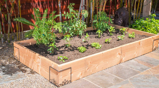 early raised bed gardening