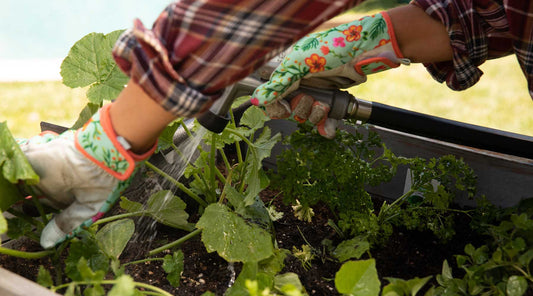 early watering hose and sprinkler tools