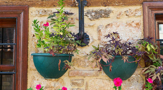 herb garden wall hanging plants