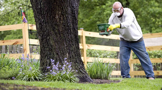 lawn fertilizer