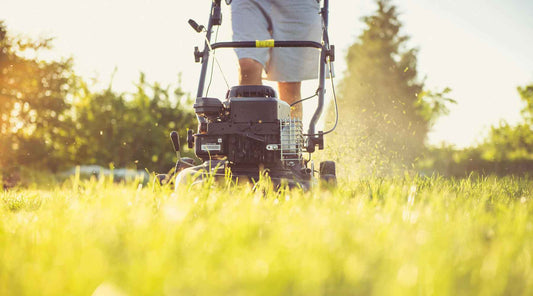 don't make mowing mistakes in summer