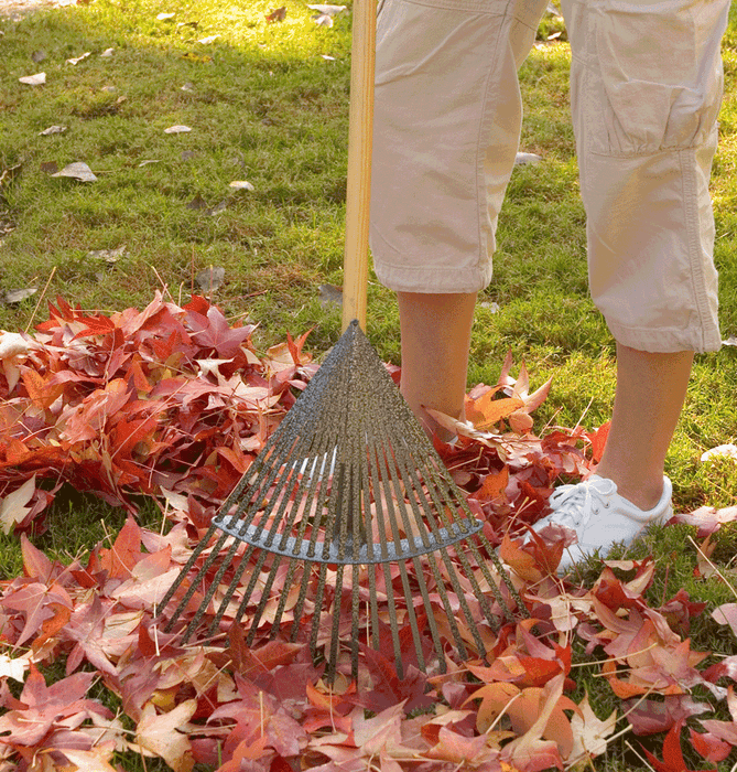 World's Greatest Rake – Yard Butler