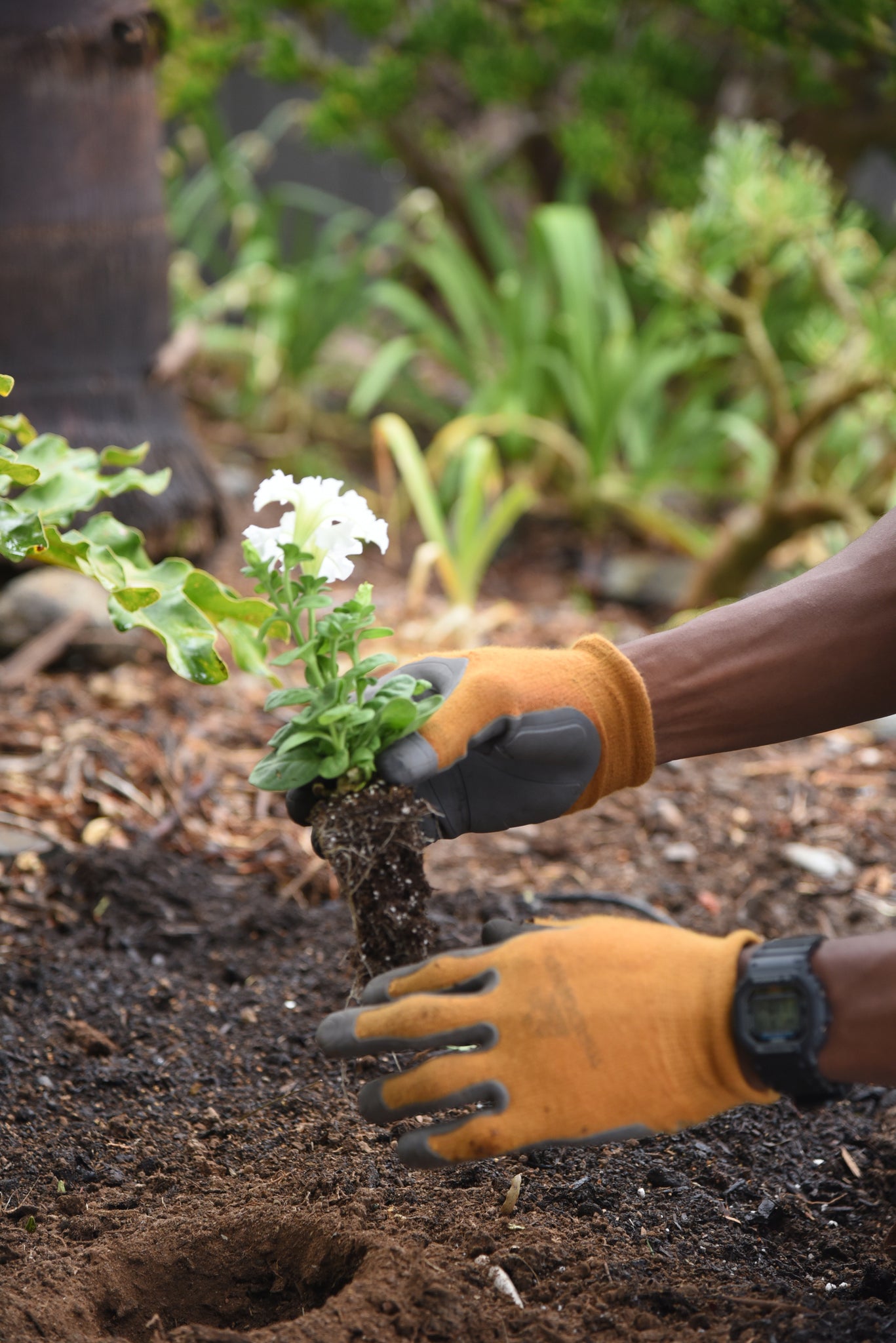 Roto Planter: 24" Garden Digging Auger Drill Bit