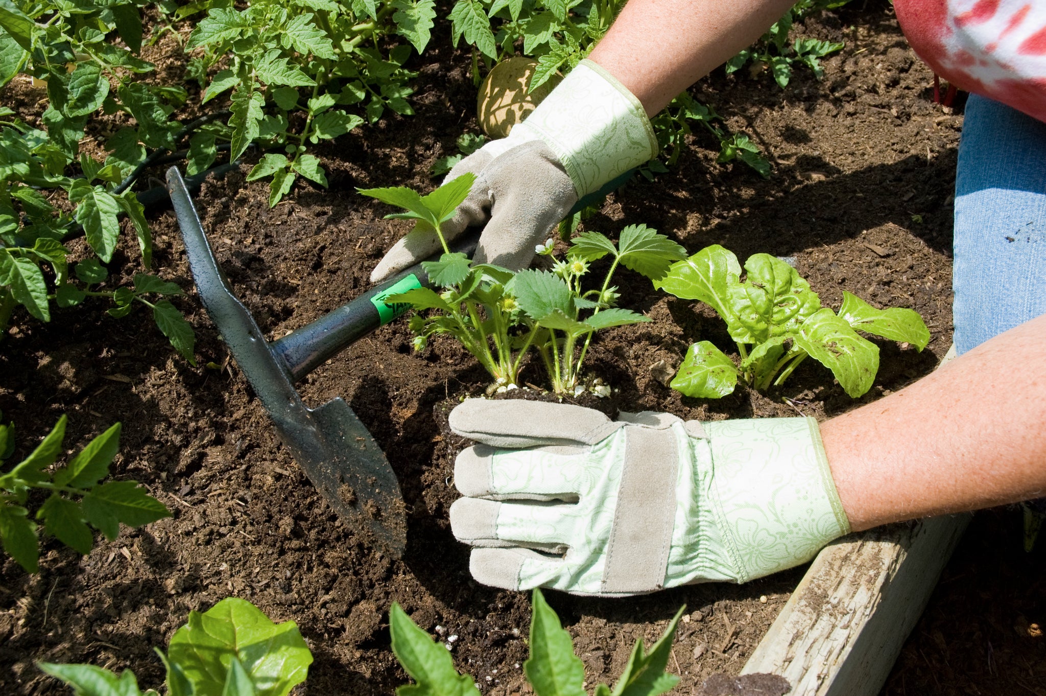 Terra Planter: All Purpose Garden Hand Shovel